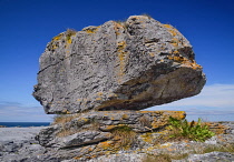 Ireland, County Clare, The Burren, A single weathered rock sits on typical limestone landscape.