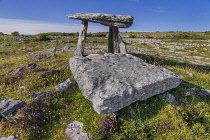 Ireland, County Clare, The Burren, Poulnabrone Dolmen, the thin capstone sits on two 6 feet high portal stones, these stones created a chamber within which the dead were placed, the people buried here...