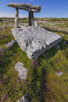 Ireland, County Clare, The Burren, Poulnabrone Dolmen, the thin capstone sits on two 6 feet high portal stones, these stones created a chamber within which the dead were placed, the people buried here...