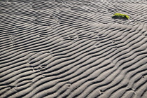 Ireland, County Sligo, Patterns in the sand on Lissadell Beach.