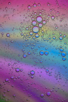 Ireland, County Sligo, Carney,  Bubbles on colourful background produced by mixing vegetable cooking oil with water and photographing the results with a close up lens.