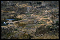 Peru, Arequipa Department, Colca Valley, Aerial view of agricultural field patterns and terraces.