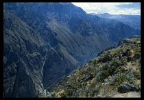 Peru, Arequipa Department, Colca Canyon, View of the canyon s steep sides.