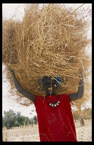 Mali, Pays Dogon, Tirelli, Portrait of a smiling boy called Simon Saye with hay on his head and wearing a cowrie necklace.