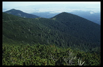 Slovakia, Carpathian Mts, Small Tatras, Mountain slopes covered in dense forest.