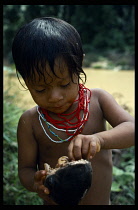 Ecuador, Children, Auca Indian boy eating monkey brains.