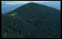 Slovakia, Carpathian Mts., Tatras Mountains, The Small Tatras covered in dense forest.