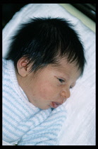 England, Children, Babies, Portrait of two day old anglo - Indian boy with full head of black hair.