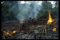Cameroon, South West, Mundemba Province, Slash and burn agriculture near Korup with young woman stacking branches on flames.