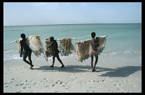 Mauritania, Fishing, Fishermen carrying nets hung on poles across their shoulders along beach.
