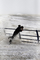 England, East Sussex, Hastings, Man braving the wild waves battering the promenade during storm.