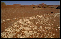 Namibia, Namib Desert, Clay pan with dry cracking floor where water collects when it rains.