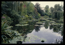 France, Normandy, Giverny, Monet's garden lily pond