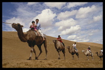 China, Camel train by Yellow River.