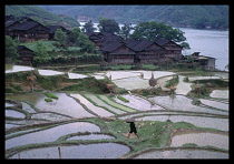 CHINA, General, Agriculture, Village housing and rice paddies beside river with person carrying hoe in the foreground.
