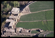 PAKISTAN, Skardu, View over wheat fields and farm buildings.