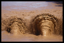 CHINA, Yellow River water laden with silt and mud flowing into the canal.