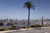 Spain, Balearic Islands, Majorca, Palma de Mallorca, View across the marina.