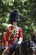 England, London, Queens Platinum Jubilee celebrations on the Mall, 02/06/2022, Guardsman on horseback.
