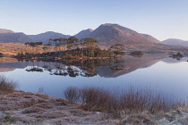 Ireland, County Galway, Connemara, Derryclare Lough as seen from Pine Island Viewpoint on a frosty morning with the Twelve Bens mountain range in the background.