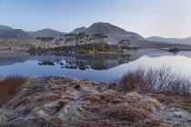 Ireland, County Galway, Connemara, Derryclare Lough as seen from Pine Island Viewpoint on a frosty morning with the Twelve Bens mountain range in the background.
