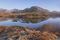 Ireland, County Galway, Connemara, Derryclare Lough as seen from Pine Island Viewpoint on a frosty morning with the Twelve Bens mountain range in the background.