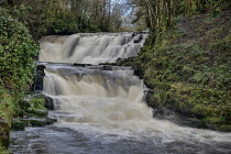 Ireland, County Leitrim, Aughnasheelin, Poll an Easa Waterfall.