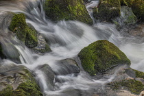 Ireland, County Sligo, Luke's Bridge, mountain stream descending from the slopes of Ben Bulben.