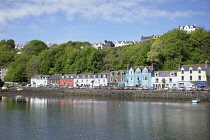 Scotland, Mull, Tobermory, Row of colourfully painted harbourside houses.