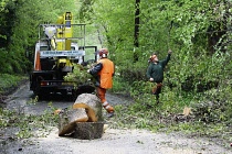 England, Kent, Tree surgeons removing fallen tree blocking country road.