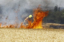England, Kent, Fire Brigade attending fire in agricultural field with crop of grain on fire.