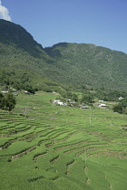 Vietnam, Lào Cai Province, close to Sa Pa, Rice paddy terrace.