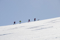 Norway, Back-country skiers and dog out on a trip close to Hemsedal.