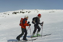 Norway-, Hemsedal, Back-country skiers ascending Slettind mountain.