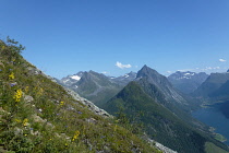 Norway-, Western norwa, Sæbø, View from Saksa mountain towards Breidfonnhornet.