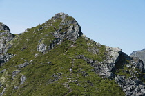 Norway-, western Norway, Sæbo, Trekker coming down from peak adjascent to summit of Saksa mountain.