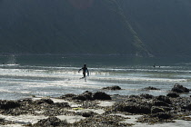 Norway, wastern Norway, Body boarder at Hoddevik beach.