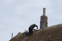 United Kingdom, Dorset, Thatching of a cottage near Abbotsbury.