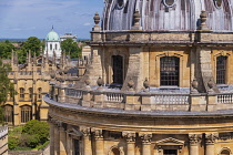 England, Oxfordshire, Oxford, Section of the dome of Radcliffe Camera which is an iconic Oxford landmark and a working library, part of the central Bodleian Library complex, viewed here from the tower...