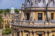 England, Oxfordshire, Oxford, Section of the dome of Radcliffe Camera which is an iconic Oxford landmark and a working library, part of the central Bodleian Library complex, viewed here from the tower...