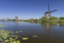 Holland, South Holland Province, Kinderdijk, Some of the village's 19 Windmills built in the 18th century.