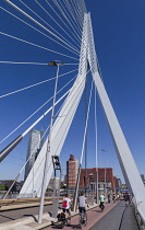 Holland, Rotterdam, View of the Erasmusbrug or Erasmus Bridge over the Nieuwe Maas River with cyclists and pedestrians in transit.