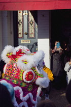 Portland Road, Dragon dance outside Asiana shop for Chinese New Year 2023, the year of the Rabbit.