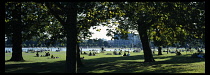 England, London, People lying in the sun with trees casting shade in the foreground.