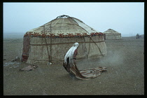 Afghanistan, General, Kirghiz woman shaking dust from rug outside yurt.