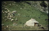 Afghanistan, General, Kirghiz yurt and lifestock.
