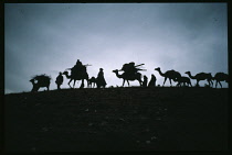 Afghanistan, General, Nomadic Kuchi camel train silhouetted against pale sky.  The Kuchis are nomadic herders and usually Pashtun.