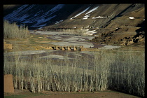 Afghanistan, Panjao, Donkey riders crossing bridge over river in mountainous region in Spring with snow on lower slopes behind.