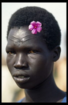 UGANDA, West Nile, Body Decoration, Young Dinka refugee man with facial scarification from initiation and wearing single pink flower blossom in his hair.