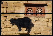 India, Rajasthan, Jaisalmer, Goat in front of small Hindu shrine to Ganesh the elephant headed god of prosperity.